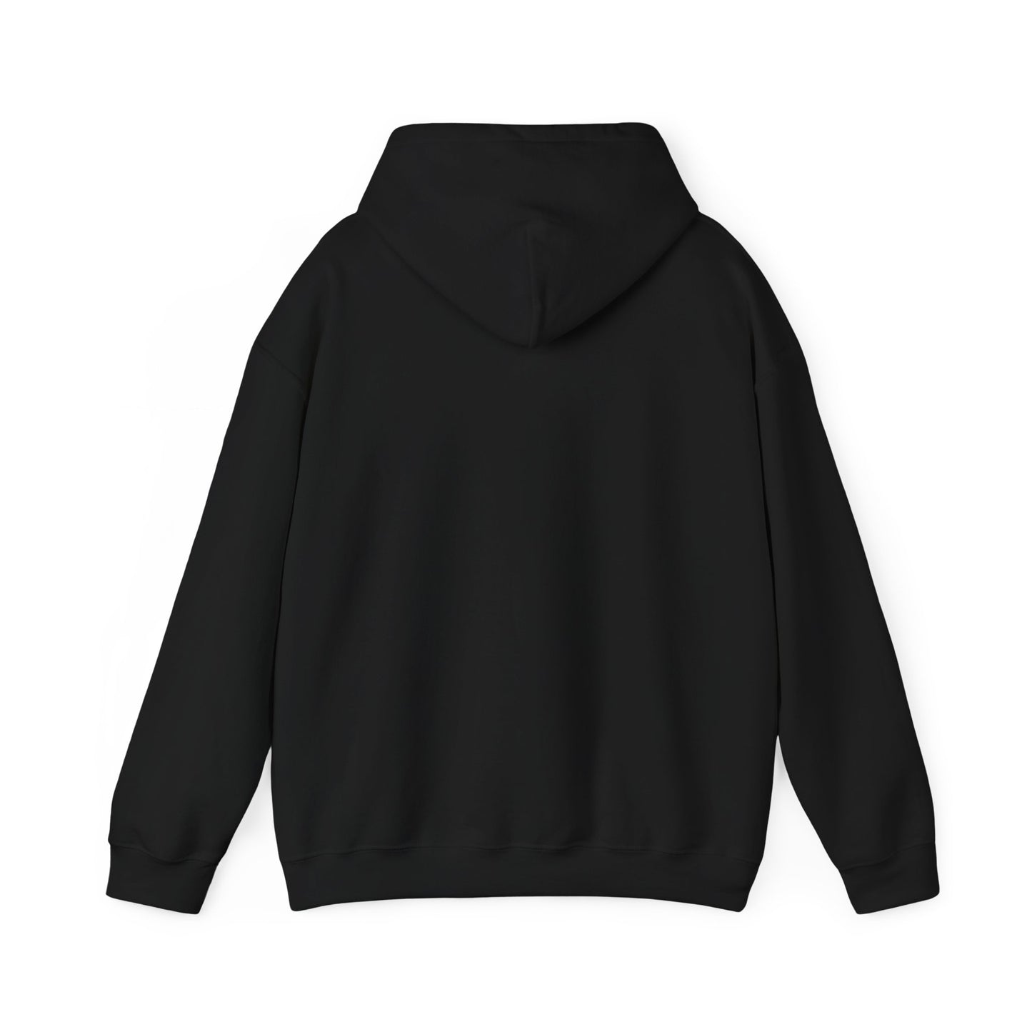 Silver Coaster Club 300th Credit Milestone Hoodie - THOOSIEMERCH product image