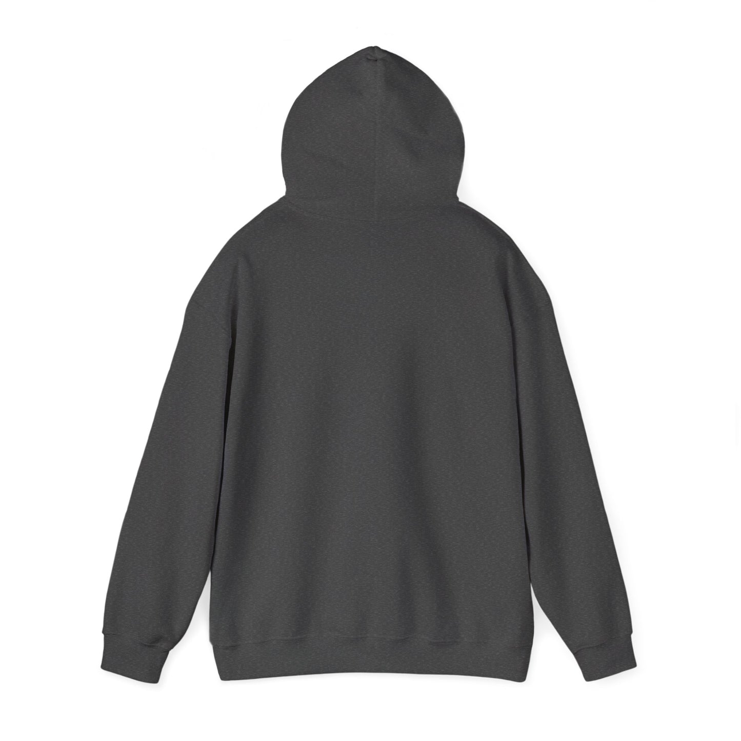 Silver Coaster Club 300th Credit Milestone Hoodie - THOOSIEMERCH product image