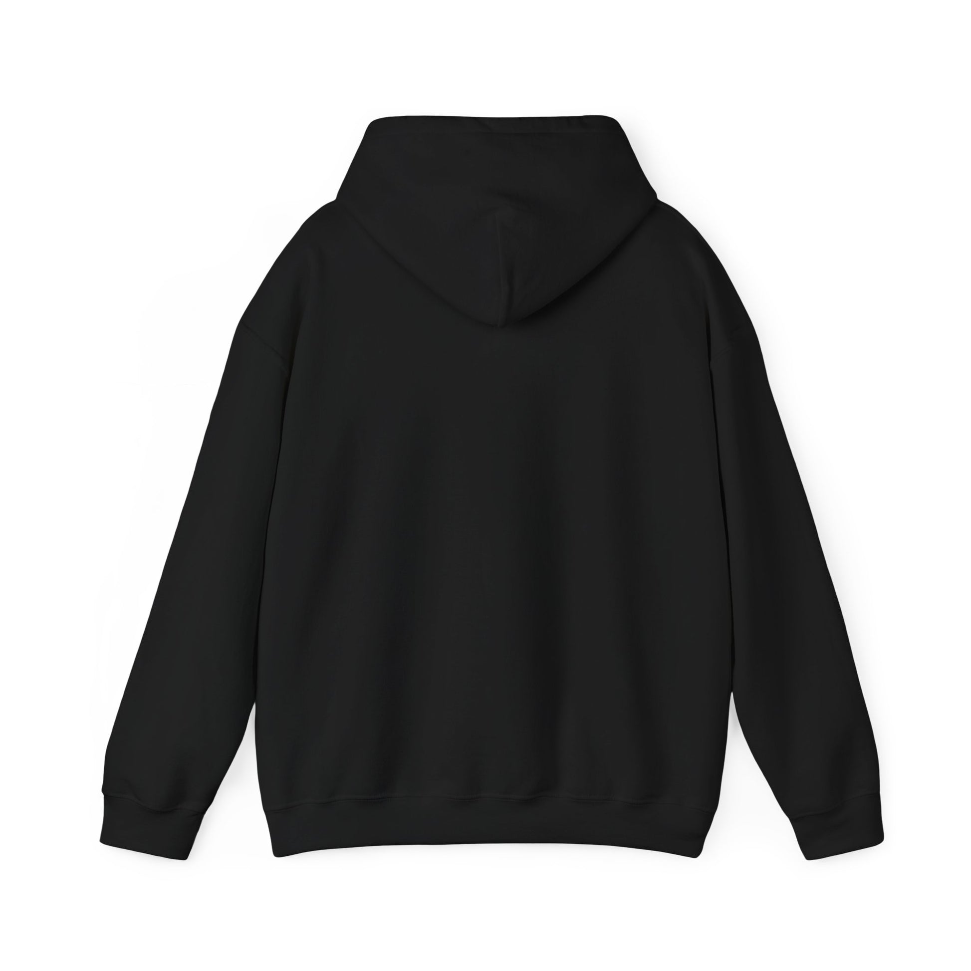 Platinum Coaster Club 1100th Credit Milestone Hoodie - THOOSIEMERCH product image