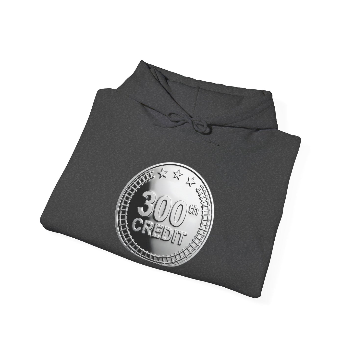 Silver Coaster Club 300th Credit Milestone Hoodie - THOOSIEMERCH product image