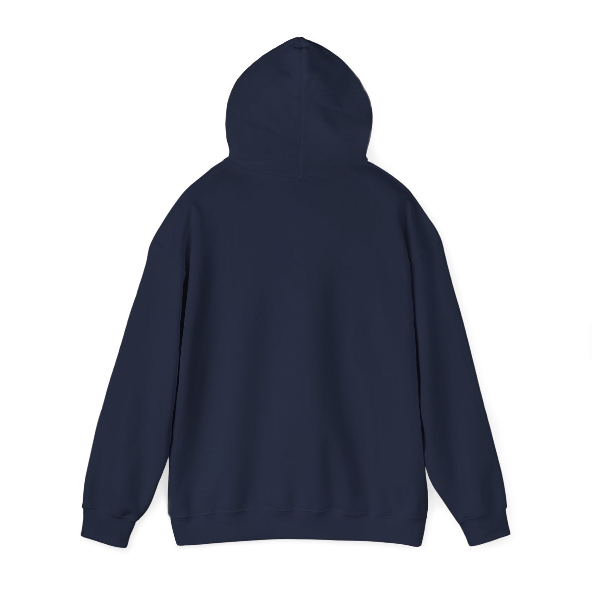 Silver Coaster Club 300th Credit Milestone Hoodie - THOOSIEMERCH product image